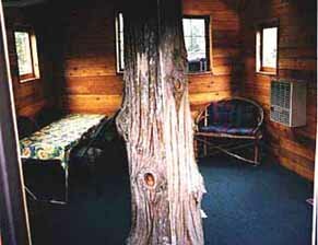 treehouse living room