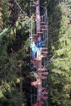 Cedar Creek treehouse Spiral Staircase