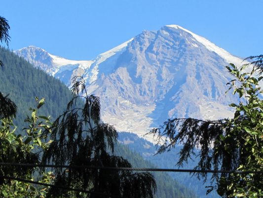 Mt. Rainier from porch of  new treehouse