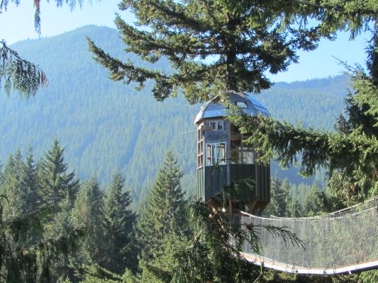 Cedar Creek Treehouse Observatory from the Sun Bridge