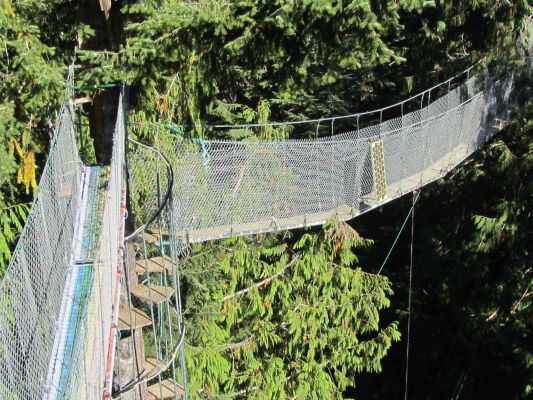 Sun Bridge to Floating Treehouse with 30 year old solar panel (55 watts)