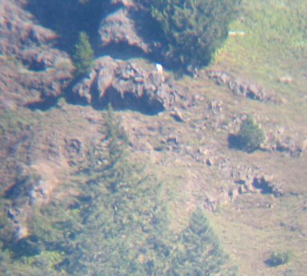 The Observatory provides a great vantage point for spotting white mountain goats on the slopes across the valley.