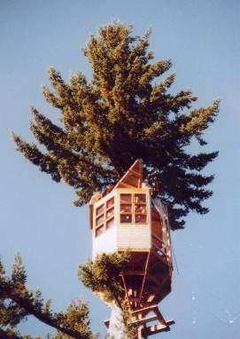 Roof section received by treehouse crew, 100 feet above the ground