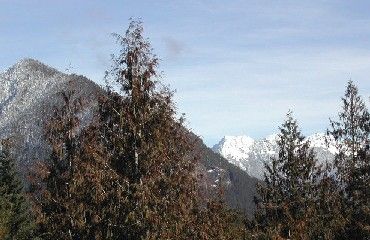 Looking East toward the Tatoosh Mountains (Mt. Rainier National Park).   Mountain goats can often be seen on the Tum Tum cliffs (photo center)