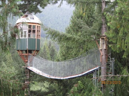 Cedar Creek Treehouse Observatory and Rainbow Bridge, as seen from the new floating treehouse web deck landing (September 2010)