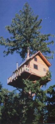 The Treehouse, before installation of the Stairwell