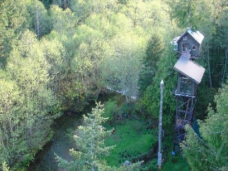 View of the creek,  treehouse, and stairwell from the Treehouse Observatory