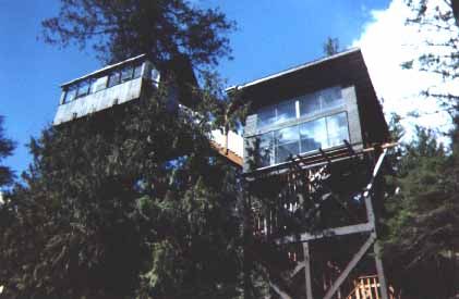 Cedar Creek Treehouse