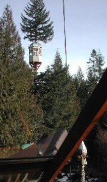 Treehouse Observatory as viewed from Cedar Creek Treehouse entrance